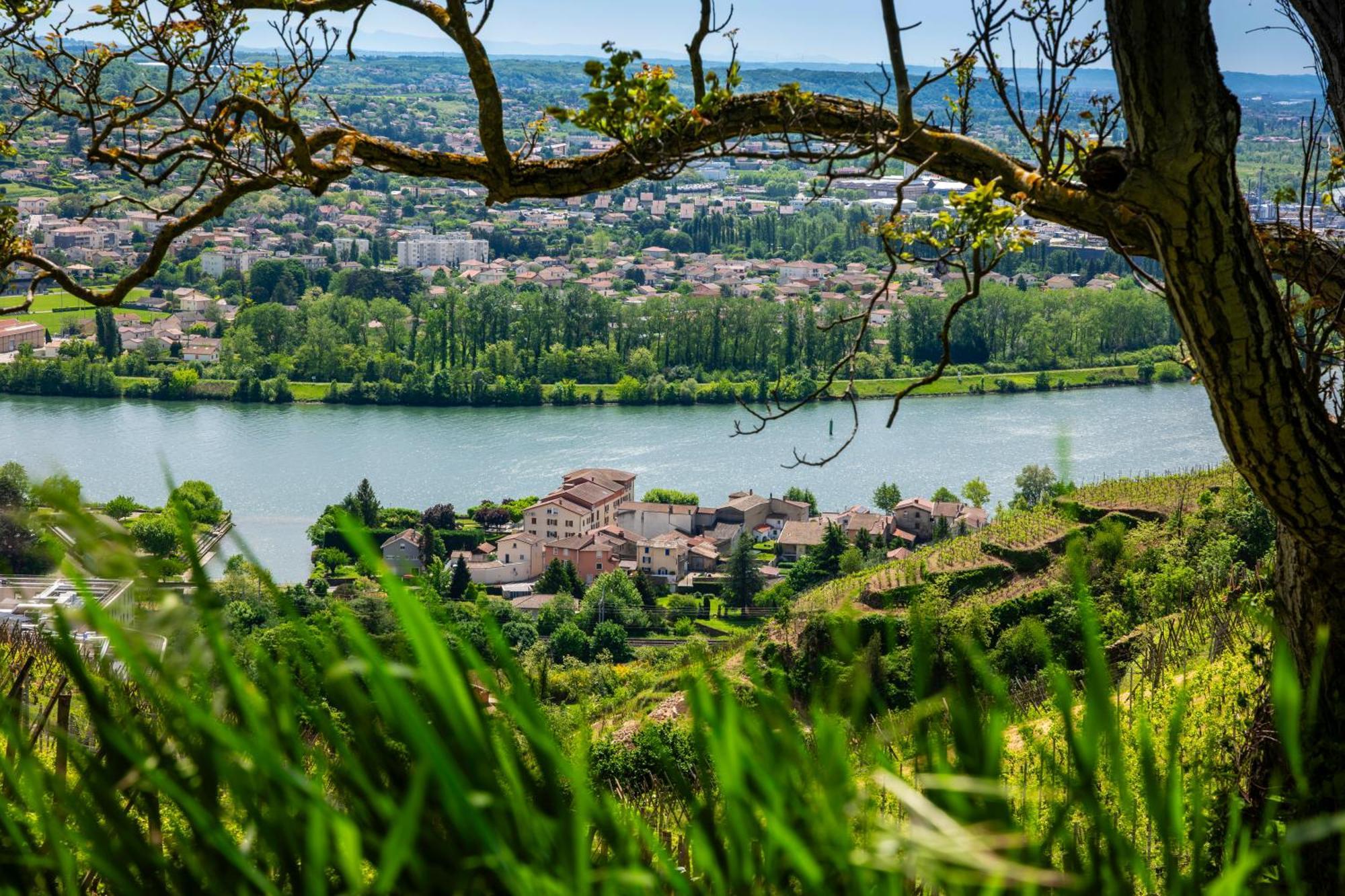Hotel Beau Rivage Condrieu Zewnętrze zdjęcie